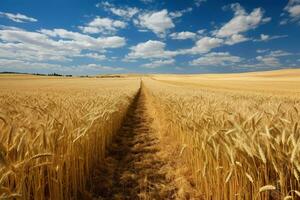 magnifique agricole champ avec maturité blé près route. produire ai photo