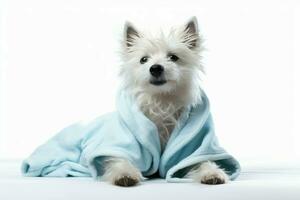 luxueux chien blanc peignoir de bain. produire ai photo