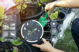 le concept de en utilisant ai et intelligent agriculture. photo