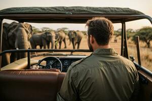 l'éléphant fond d'écran, l'éléphant HD ,éléphant images Télécharger ai généré photo