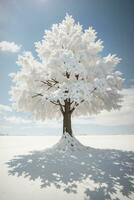 des arbres fond d'écran ,HD qualité photo