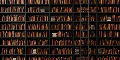 vue de face de l'élégante bibliothèque avec escalier photo