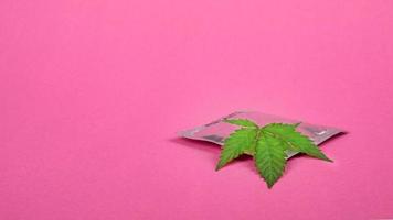 préservatif et feuille de cannabis sur l'espace de copie de fond rose, concept de drogues sexuelles de contraception. photo