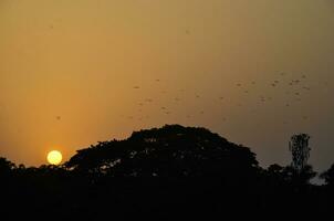 le coucher du soleil vue dans le de bonne heure matin, Bangladesh. 3d ouvrages d'art photo
