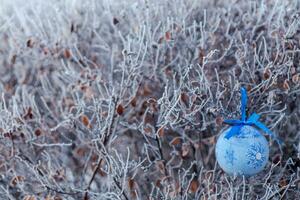 Noël arbre jouet sur le branches couvert avec givre. ensoleillé glacial temps. en train de préparer pour Noël. perdu jouet. Noël décor. Nouveau années Contexte. photo