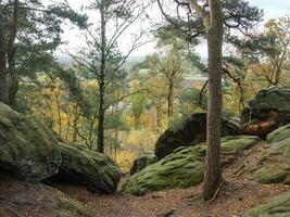 le teutobourg forêt dans Allemagne photo