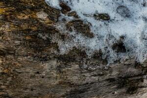 neige mensonges sur le vieux fissuré bois. hiver en bois Contexte. glacé en bois planche. photo