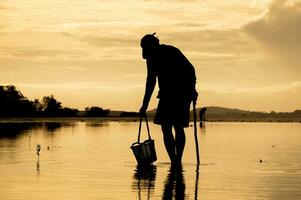 silhouette de homme en portant panier pour découverte le coquille dans le mer à le coucher du soleil photo