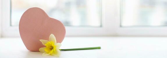 blanc jonquille sur rebord de fenêtre suivant à boîte dans forme de cœur. Pâques, 8 mars, de la mère jour, st. Valentin printemps Contexte photo