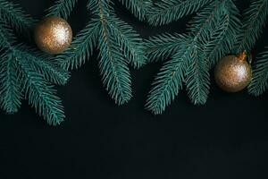 vert branches a mangé sur noir Contexte. foncé Contexte pour Noël carte ou publicité. décoré avec d'or des balles Nouveau années épicéas. photo