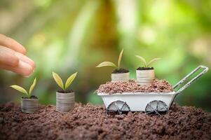 gros plan sur la main d'une femme nourrissant et arrosant de jeunes plantes grandit sur une pile de pièces pour un investissement commercial ou un concept d'épargne photo