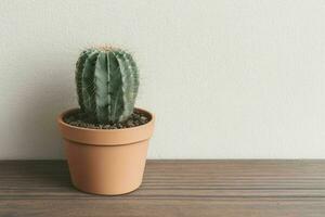 cactus dans minimaliste pot. Contexte. ai génératif pro photo