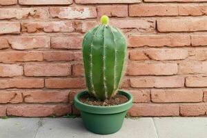 cactus dans minimaliste pot. Contexte. ai génératif pro photo