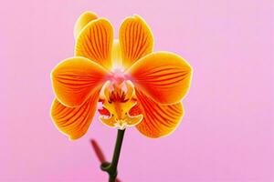 orchidée fleur. Contexte. ai génératif pro photo