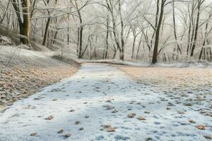 déchue feuilles dans neigeux forêt parc. Contexte. ai génératif pro photo