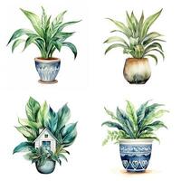 maison plante dans pot, aquarelle illustration, isolé clipart sur blanc arrière-plan, vert feuilles, fleur photo