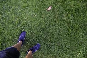pieds avec des pantoufles sur l'herbe
