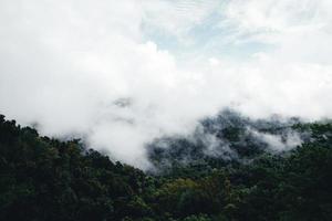 route dans la forêt saison des pluies nature arbres et brouillard voyage photo