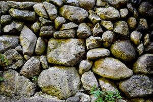 une pierre mur avec les plantes photo