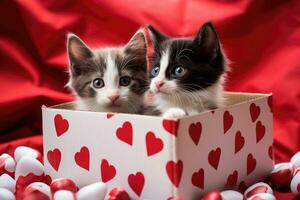 deux chatons dans une cadeau boîte avec cœurs sur une rouge arrière-plan, deux noir et blanc chatons dans une papier carton boîte avec rouge cœurs, ai généré photo