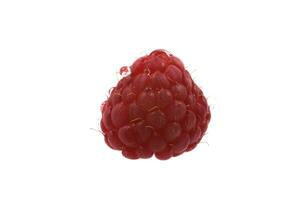 framboise sur wite photo