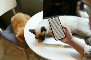 femme travail sur téléphone de Accueil avec chat. chat endormi sur le tour photo