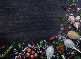 ingrédients et condiments sur la table, ingrédients épicés thaïlandais. photo