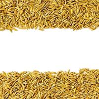 vue de dessus riz paddy et graines de riz, brun de grain de riz et tas de riz. photo