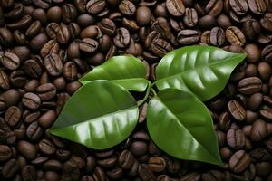 vert feuilles avec café des haricots comme Contexte. ai généré photo