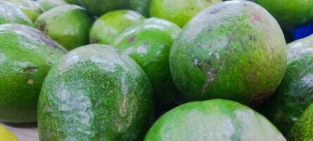 Avocat aussi fait référence à le Avocat des arbres fruit, lequel est botaniquement une grand baie contenant une Célibataire graine. avocats sont très nutritif et contenir une large variété de nutriments. photo