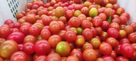 tomates mensonge sur une pile sur Haut de chaque autre, tomate texture. photo