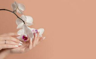 mains de une Jeune femme avec blanc longue ongles sur une beige Contexte avec orchidée fleurs. manucure photo