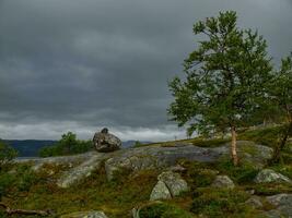 été temps dans Norvège photo