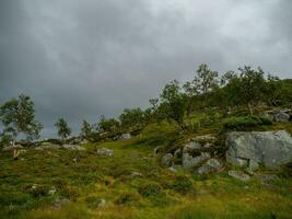 été temps dans Norvège photo