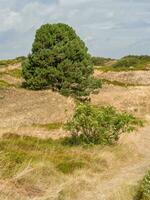 l'île de Spiekeroog photo