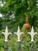 été tiem dans le jardin photo