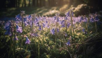 une vibrant Prairie de fleurs sauvages fleurs en dessous de le été Soleil généré par ai photo