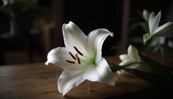 fraîcheur et beauté dans la nature une Célibataire fleur élégance fleurs généré par ai photo