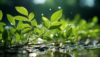 Frais vert feuilles réfléchir lumière du soleil, la nature vibrant, coloré croissance généré par ai photo