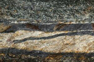 Oeil de serpent en pierre minérale macro dans la roche un fond blanc photo