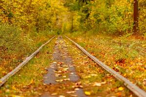 l'automne forêt par lequel un vieux tram monte Ukraine photo