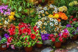 festival des fleurs à girona temps de flors, espagne. 2018 photo