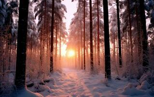 le coucher du soleil dans le les bois pendant l'hiver. ai génératif photo