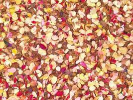 texture des feuilles d'automne