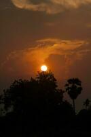 le soleil se lève et se couche le matin et le soir et les arbres sont ombragés de noir - ciel orange et nuages. chaleureux, romantique et magnifiquement beau, il a l'air chaleureux et voyageur. photo