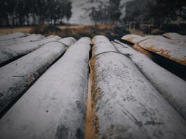 table en bambou sur la nature photo