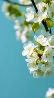 ai génératif blanc fleurs fleur photo