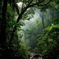 magnifique luxuriant forêts tropicales dans central Amérique. génératif ai photo