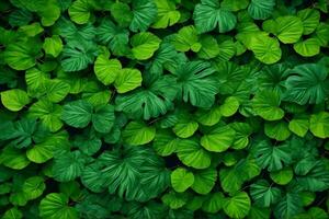 vert feuilles arrière-plan, la nature feuilles fond d'écran, feuilles arrière-plan, feuilles fond d'écran, ai génératif photo