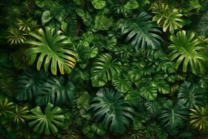 tropical feuilles arrière-plan, exotique feuilles arrière-plan, tropical feuilles fond d'écran, jungle feuilles arrière-plan, feuilles arrière-plan, ai génératif photo